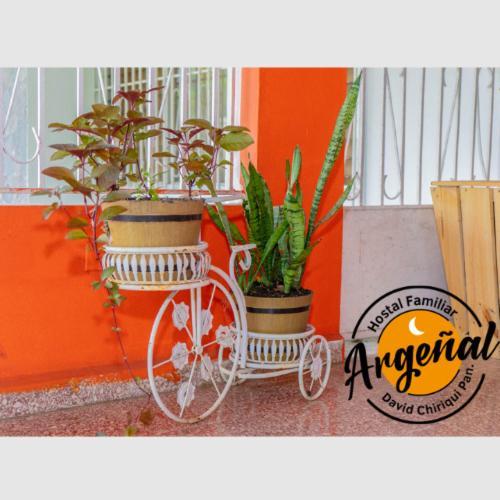 Hostal Familiar Argenal - Давид Екстериор снимка